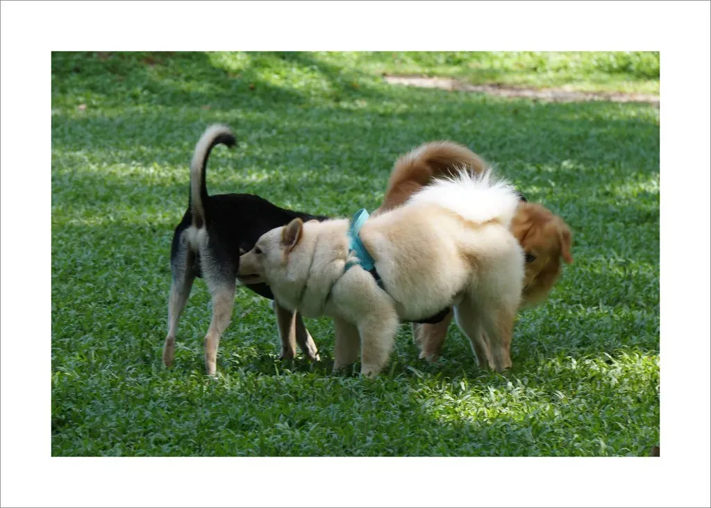 Conclusion (Image Credits: Flickr)