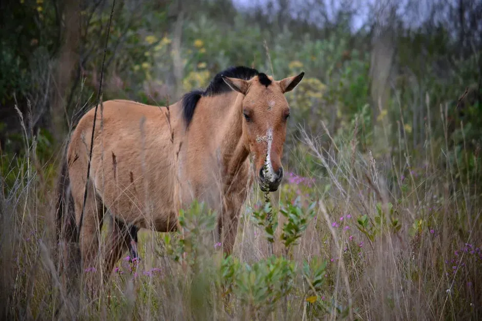 The Reward, The Investigation, and a Call to the Public (Image Credits: Pexels)