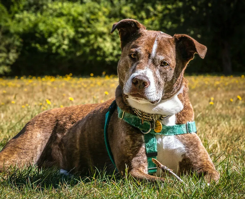 Conclusion (Image Credits: Flickr)