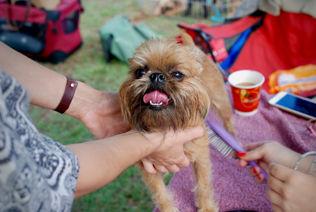 Leo Dogs: The Attention Seekers (Image Credits: Unsplash)
