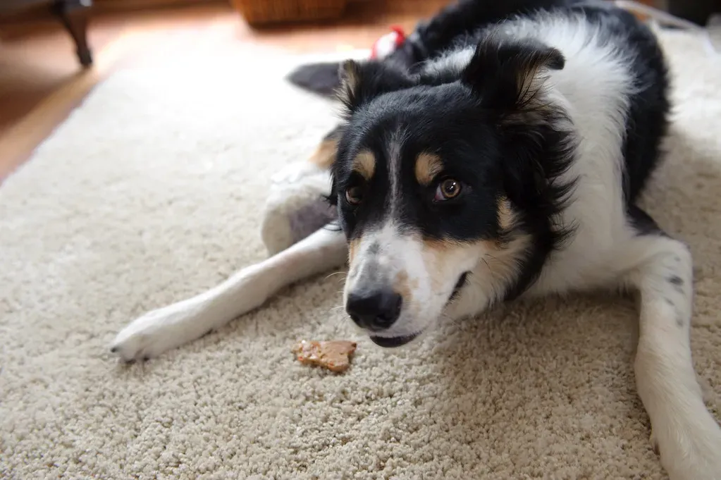 The Bottom Line (Krisy624, Flickr, CC BY 2.0)