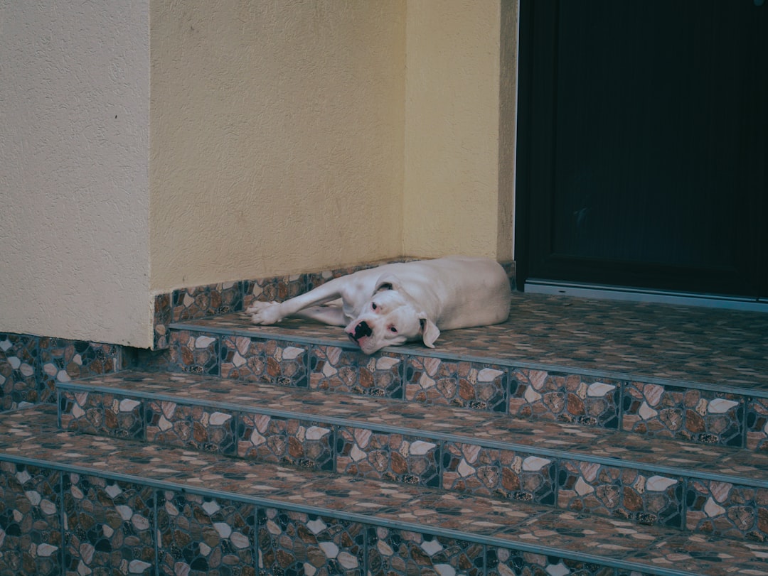 They're Avoiding Their Favorite Sleeping Spots (Image Credits: Unsplash)