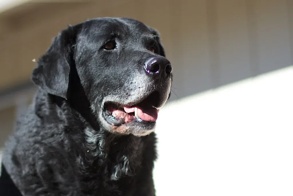 Rethinking Vertical Spaces (Image Credits: Flickr)