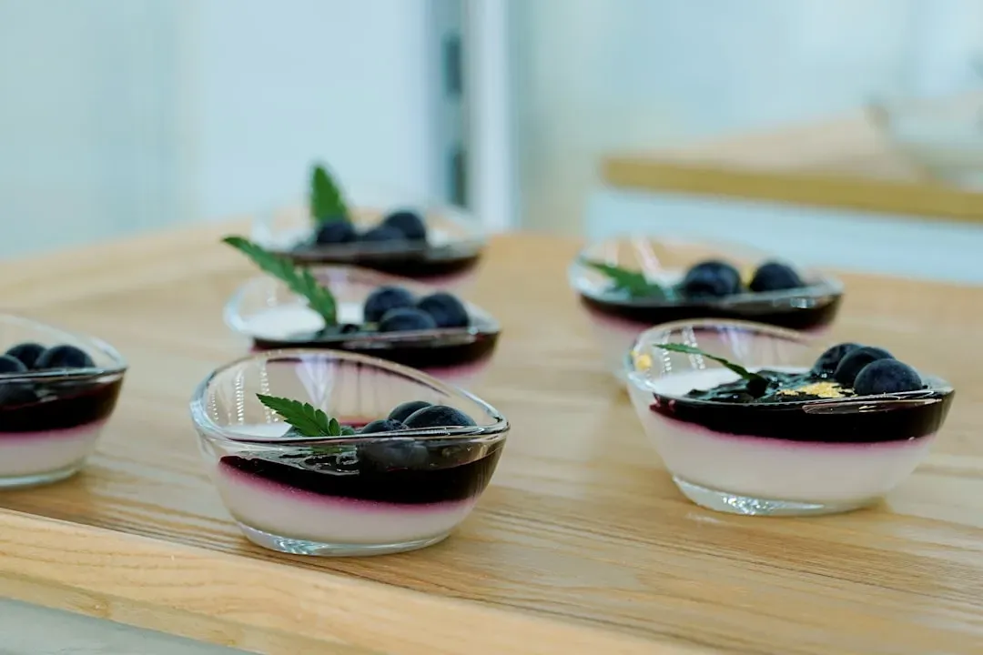 Blueberry Yogurt Pops (Image Credits: Unsplash)