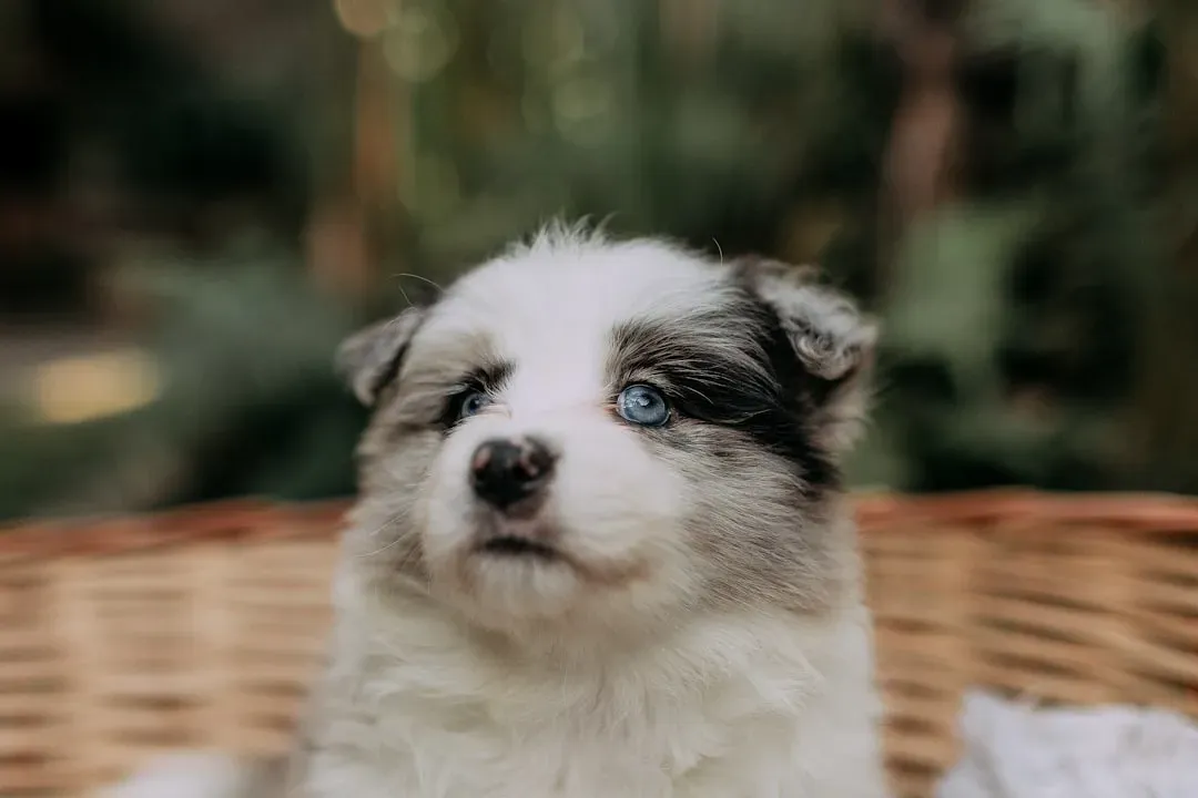 11. Baby Crying: An Unexpected Emotional Trigger (Image Credits: Unsplash)