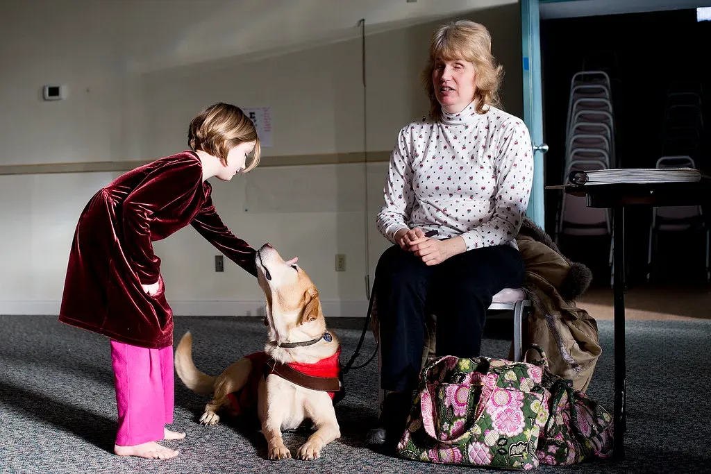 Curved Approaches Between Dogs: A Built-In Safety System (K.Logan.Sullivan, Flickr, CC BY-SA 2.0)