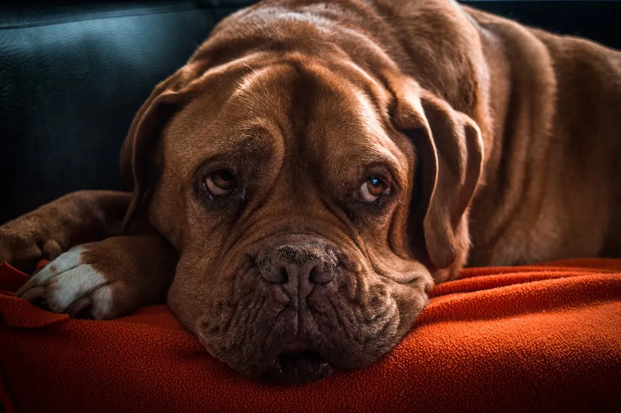 #13 - The Sudden "Good Day" After a String of Bad Ones (Image Credits: Pixabay)