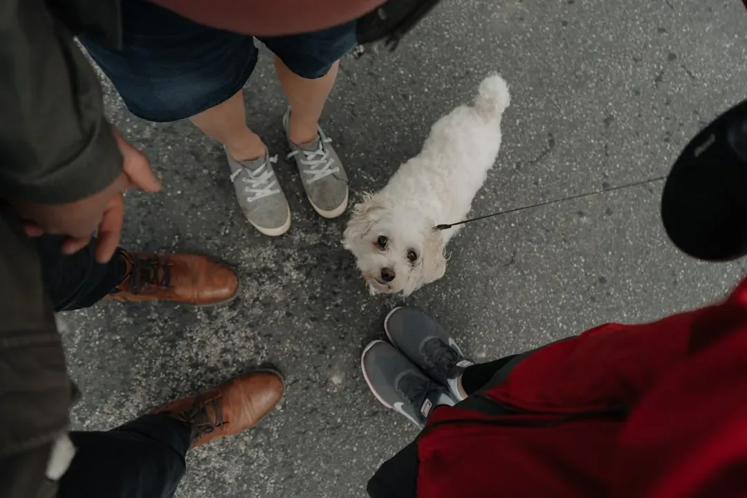 #9 - Your Footwear and Walking Surfaces (Image Credits: Unsplash)