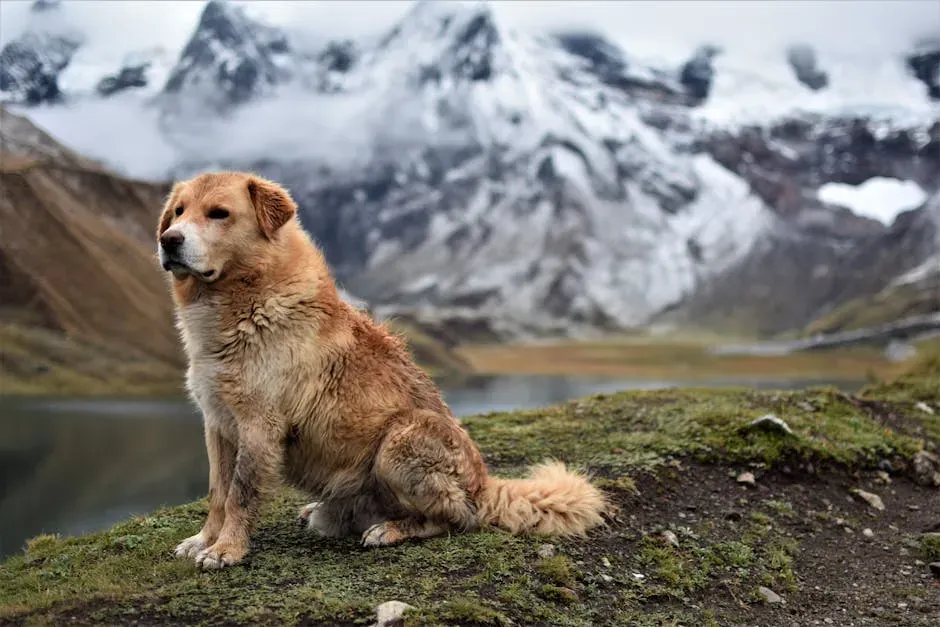 4. Denali - For the Majestic Dog Who Demands Respect (Image Credits: Pexels)