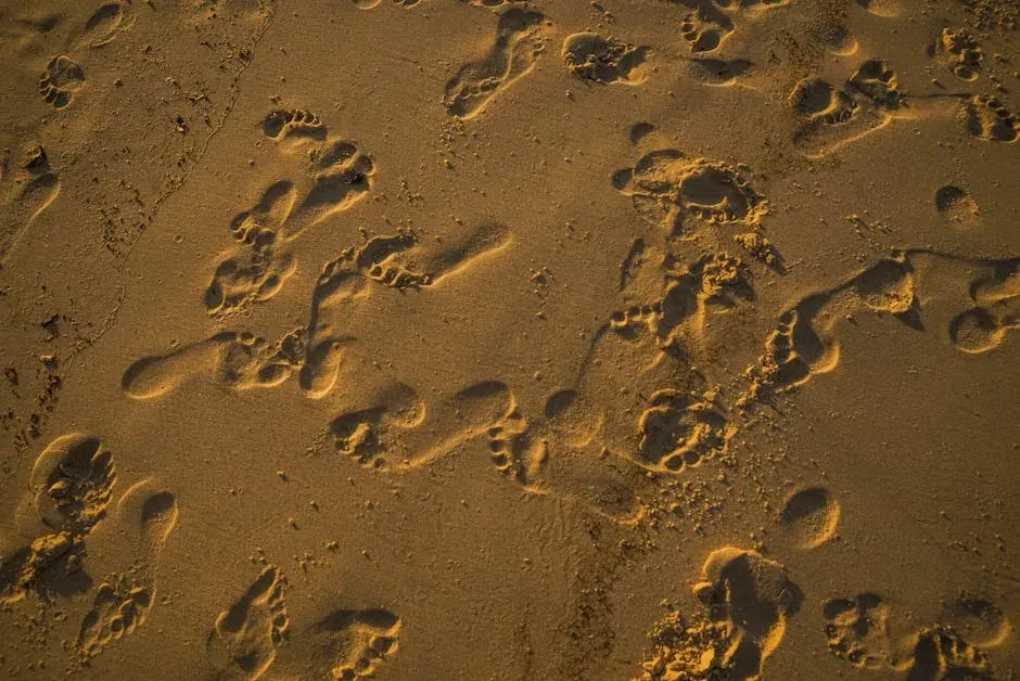 #8: The Sound of Their Paws on the Floor (Image Credits: Pexels)