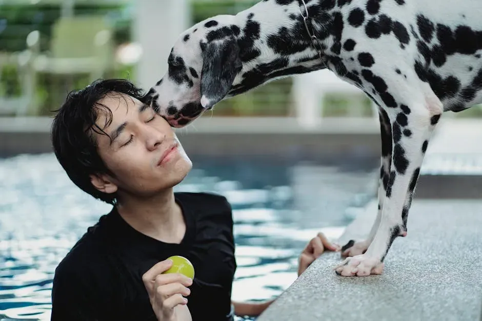 #1: The Secure Base Effect Is Real, and Your Dog Experiences It Daily (Image Credits: Pexels)