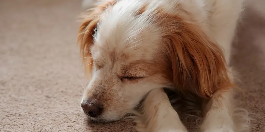 Not All Twitches Are Created Equal (Image Credits: Unsplash)