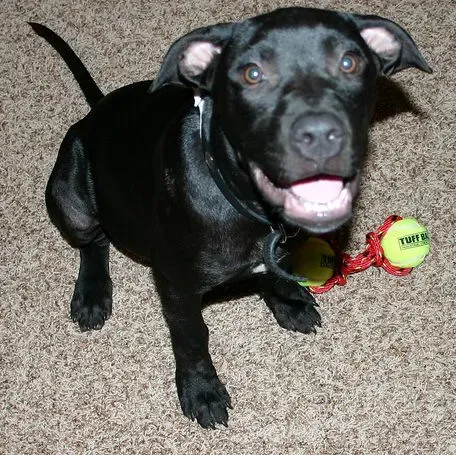 Conclusion (Image Credits: Flickr)