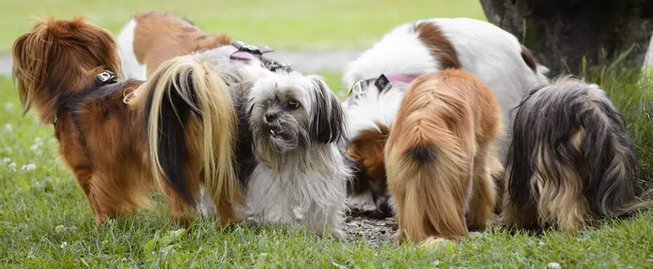 Mastering Tail Talk for Deeper Bonds (Image Credits: Pexels)