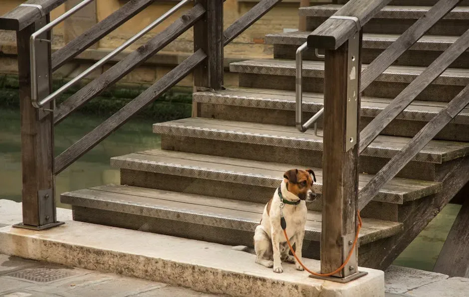 #10: A Desperate, Unrelenting Need to Wait (Image Credits: Pexels)
