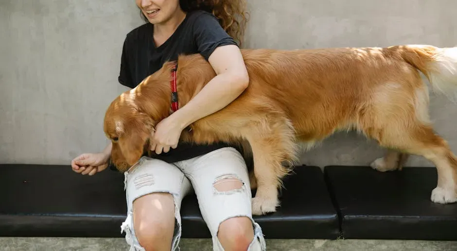1. Golden Retriever: The Empath With a Wagging Tail (Image Credits: Pexels)