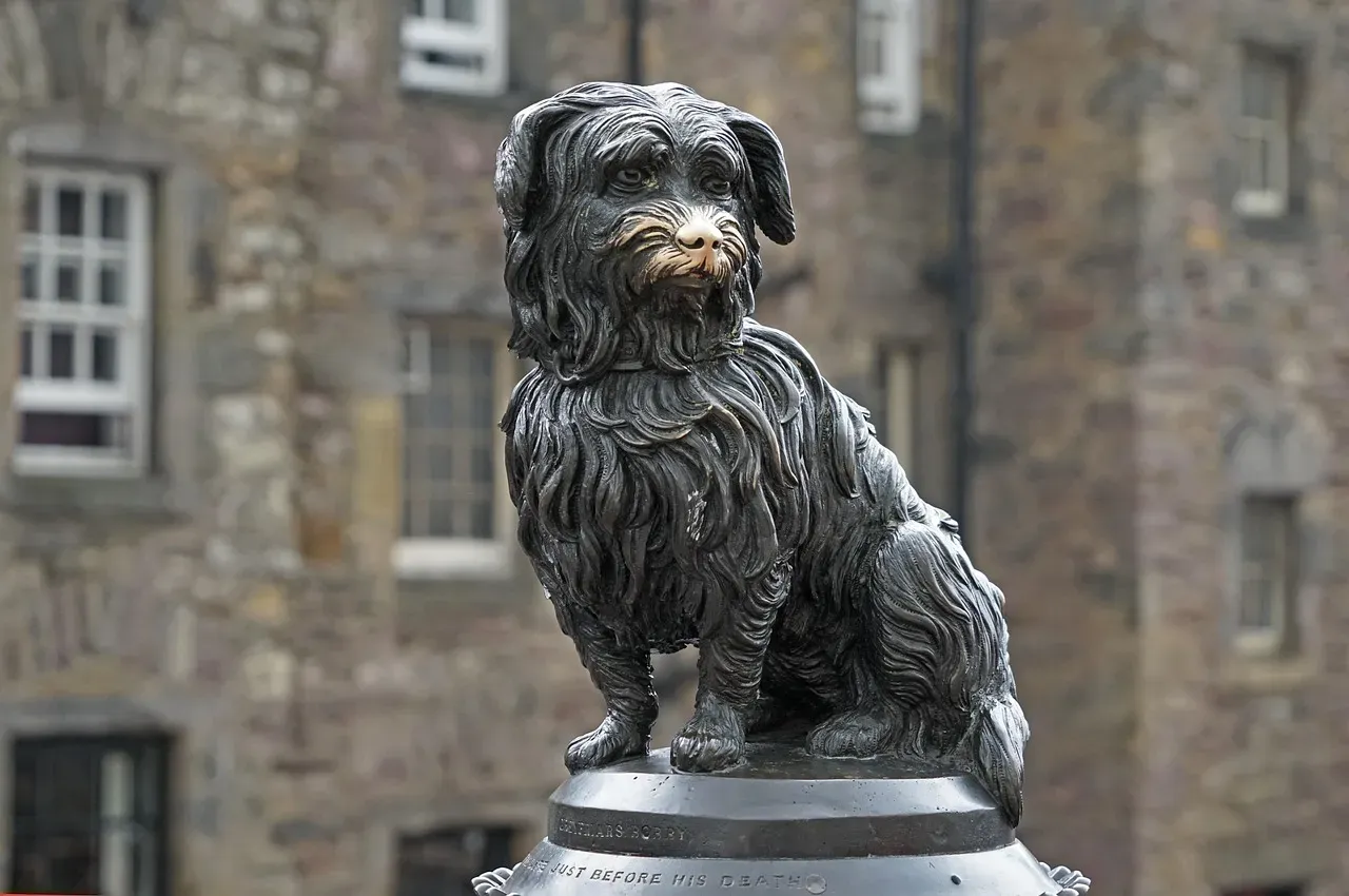 #2: Skye Terrier - The Breed Behind the World's Most Famous Vigil (Image Credits: Pixabay)