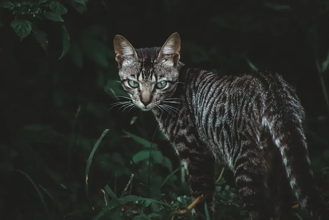 6. Nighttime Hunting Expeditions (Image Credits: Unsplash)