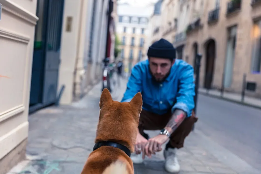 #2 - Their Loyalty Quietly Changed Addresses (Image Credits: Unsplash)