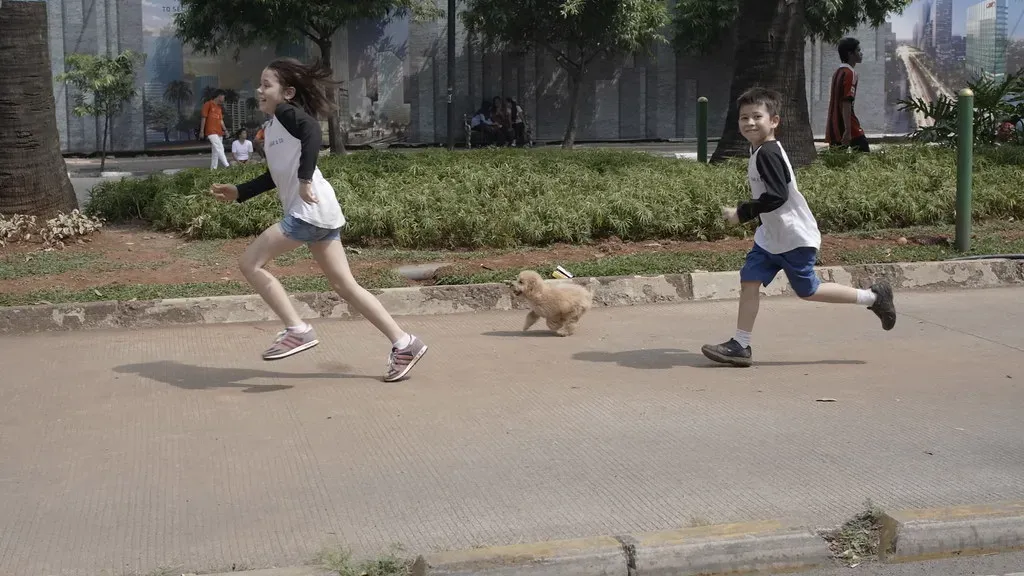 #5 - Calling It "Herding" When It's Actually Chasing and Nipping (nSeika, Flickr, CC BY 2.0)