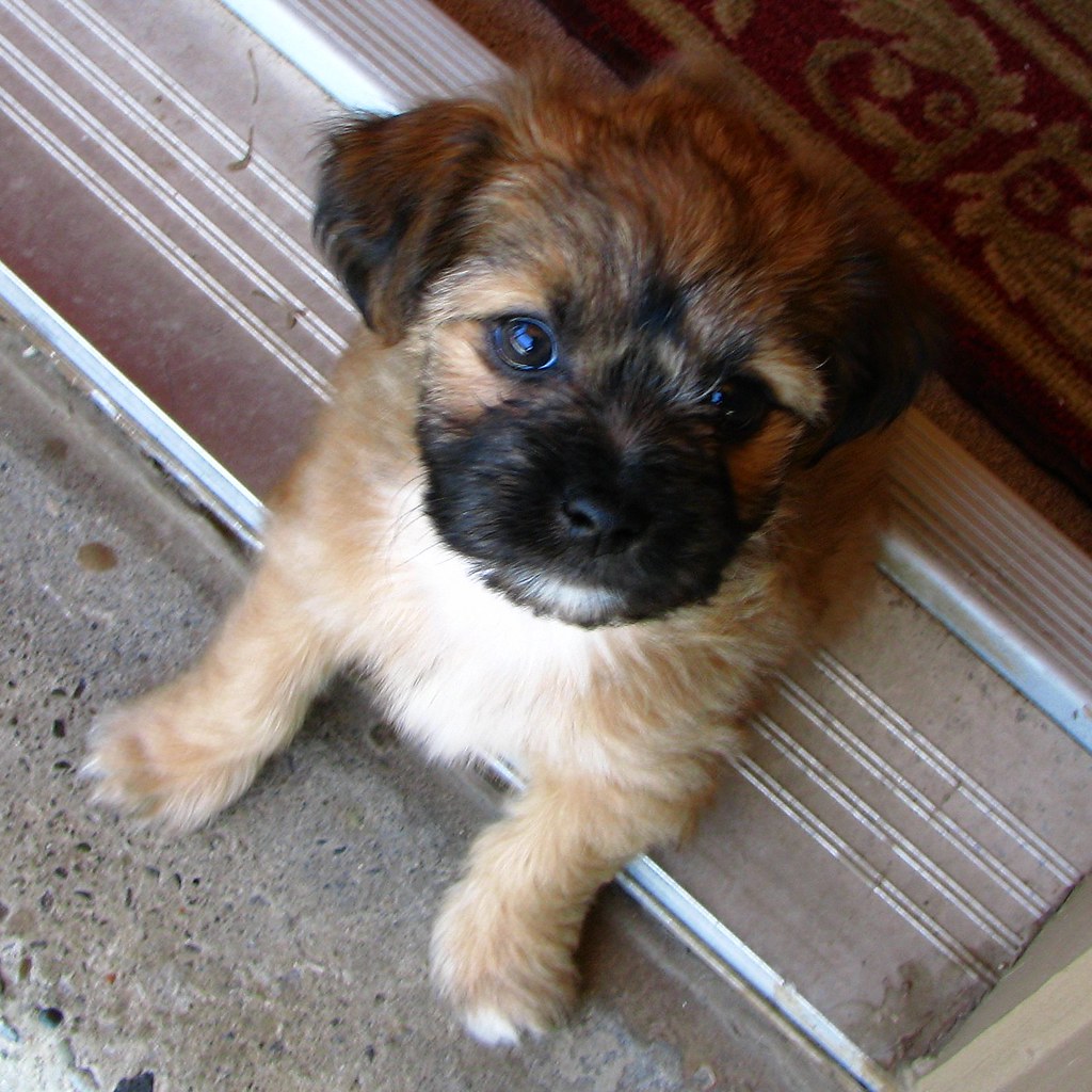 They Want Something From You (Image Credits: Flickr)