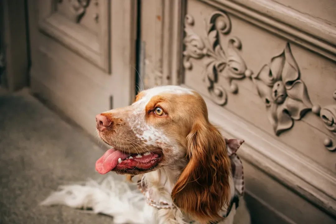 What Their Greeting Really Says About Your Relationship (Image Credits: Unsplash)