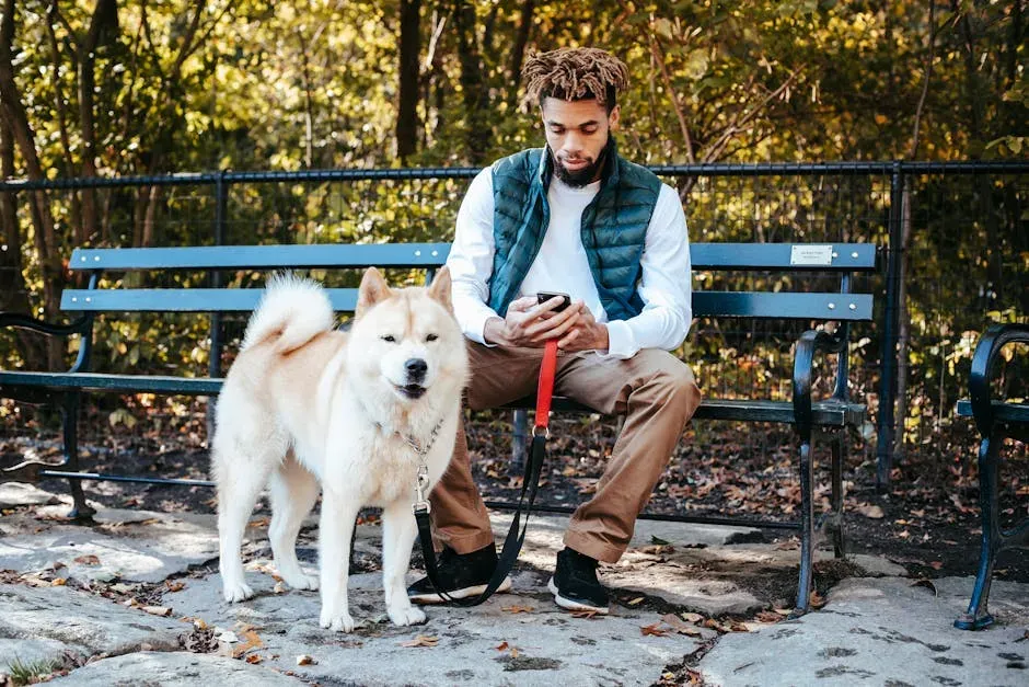Akita for the Capricorn Sign (Image Credits: Pexels)