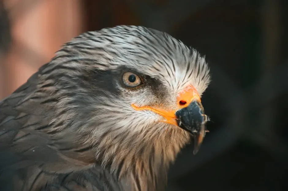#1. Aries (March 21 – April 19): The Hawk (Image Credits: Pexels)