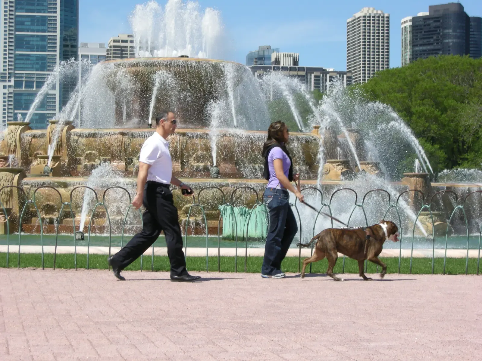 #8 - Your Dog's Schedule Matters More Than Anyone Expects (By Marmstrong21, Public domain)