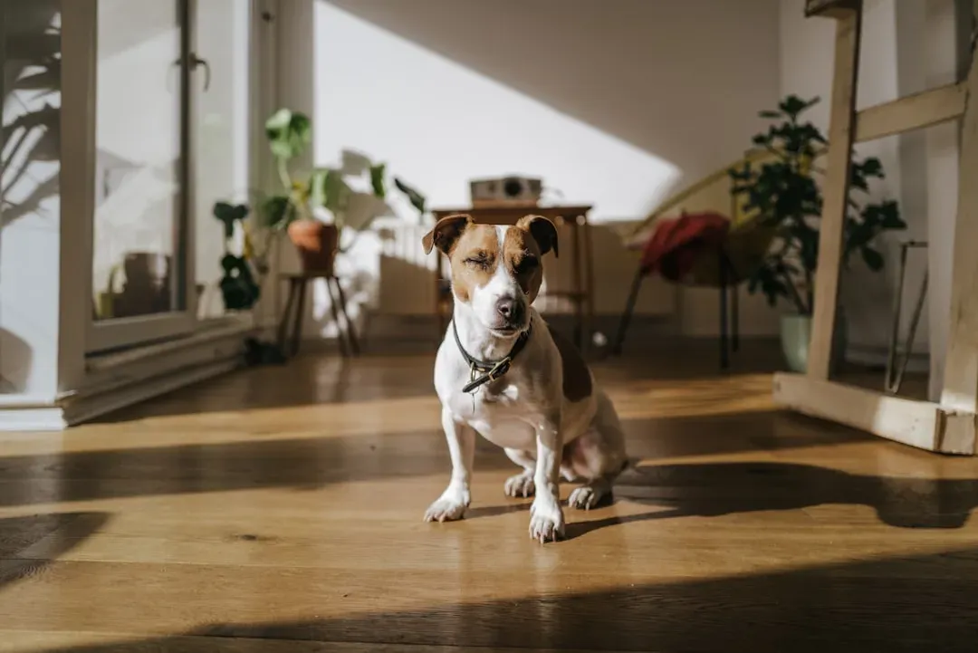 #3 - They Begin Shadowing You With Slower, More Intentional Steps (Image Credits: Unsplash)