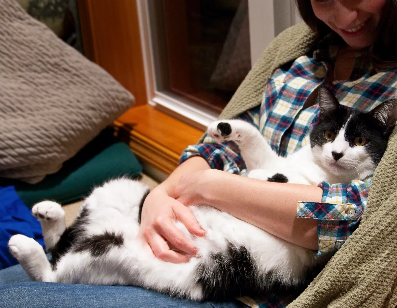 7. Stress and Separation During the Day Can Rebound as Nighttime Clinginess (Saxon in his loving owner's arms, CC BY 2.0)