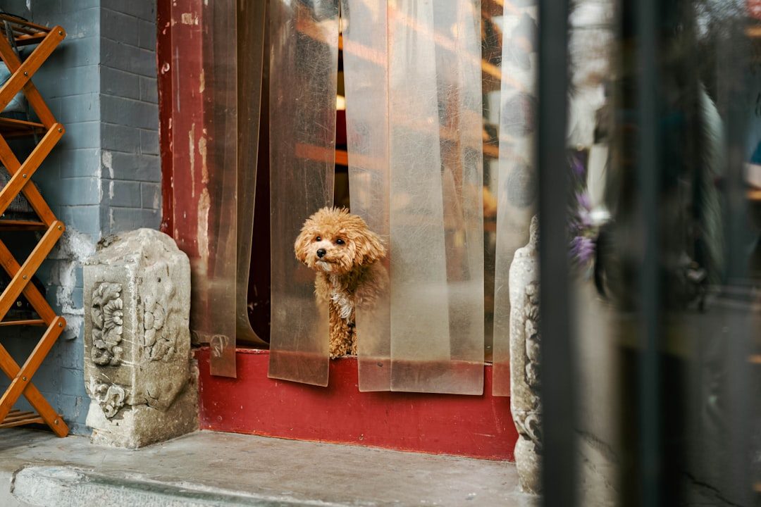 See If They Can Find Alternative Routes (Image Credits: Unsplash)