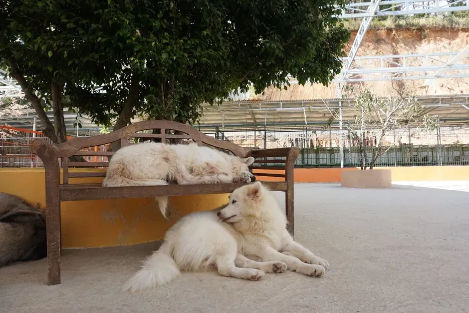 #1 - The First Time They Fall Asleep Deeply… And Stay There (Image Credits: Pexels)