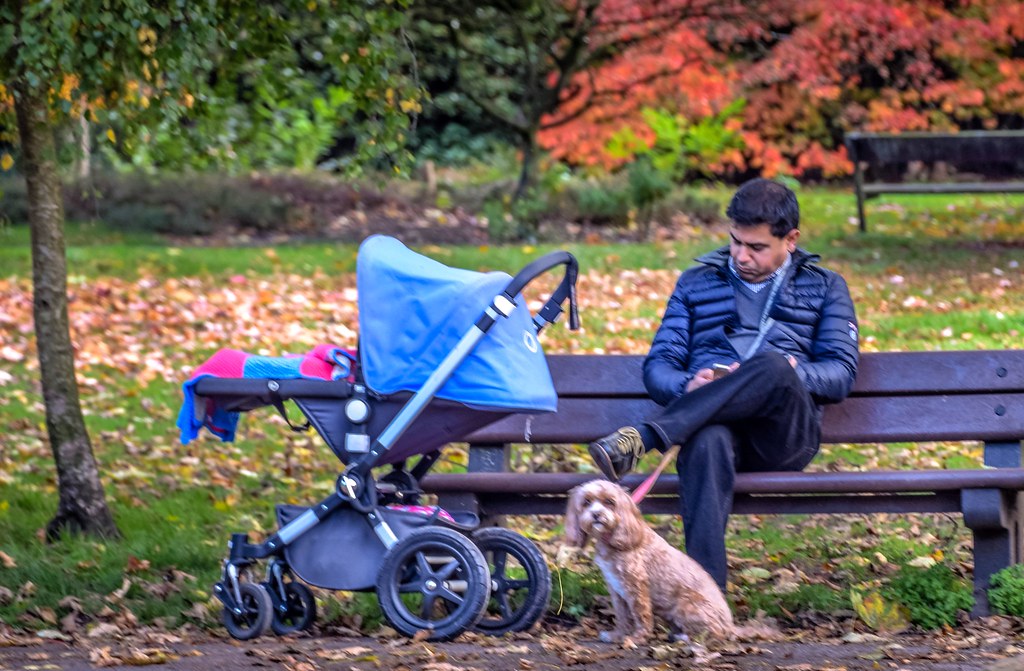 Libra Dog Parents: The Harmony Seekers (Image Credits: Flickr)