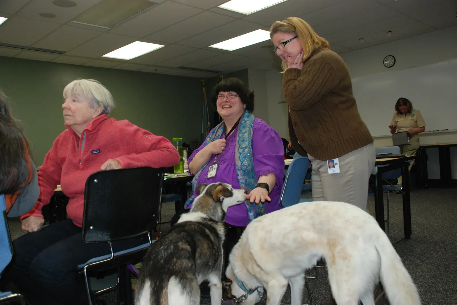 They Keep Your Social Life Surprisingly Active (Image Credits: Wikimedia)