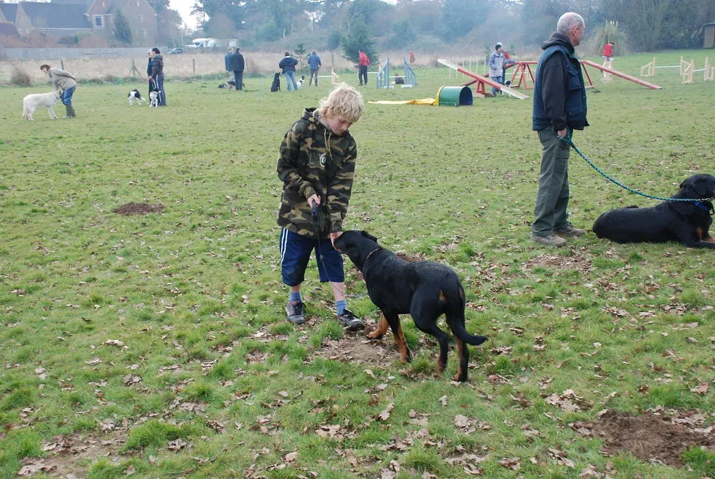 Libra: The Diplomatic Companion (Image Credits: Flickr)