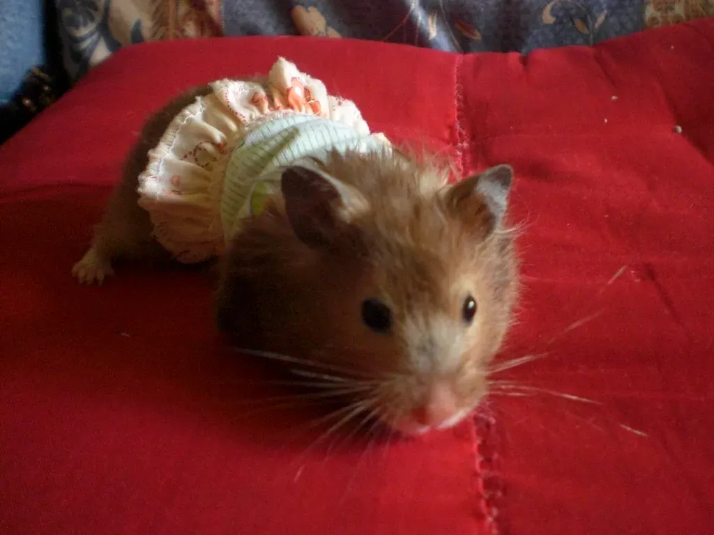 Proper Bedding Depth Makes All the Difference (Image Credits: Flickr)