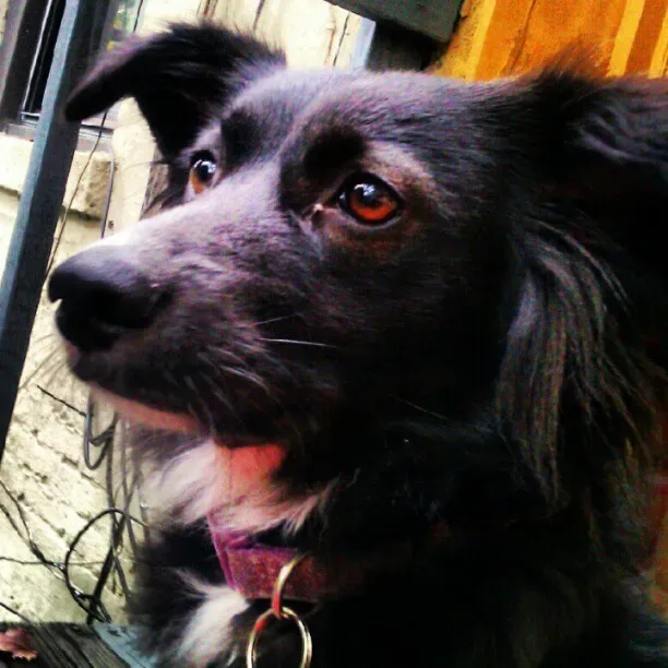 Conclusion (Image Credits: Flickr)