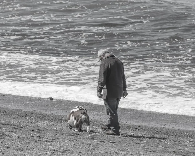 Conclusion: Choosing the Right Companion for Your Coastal Chapter (Image Credits: Pexels)