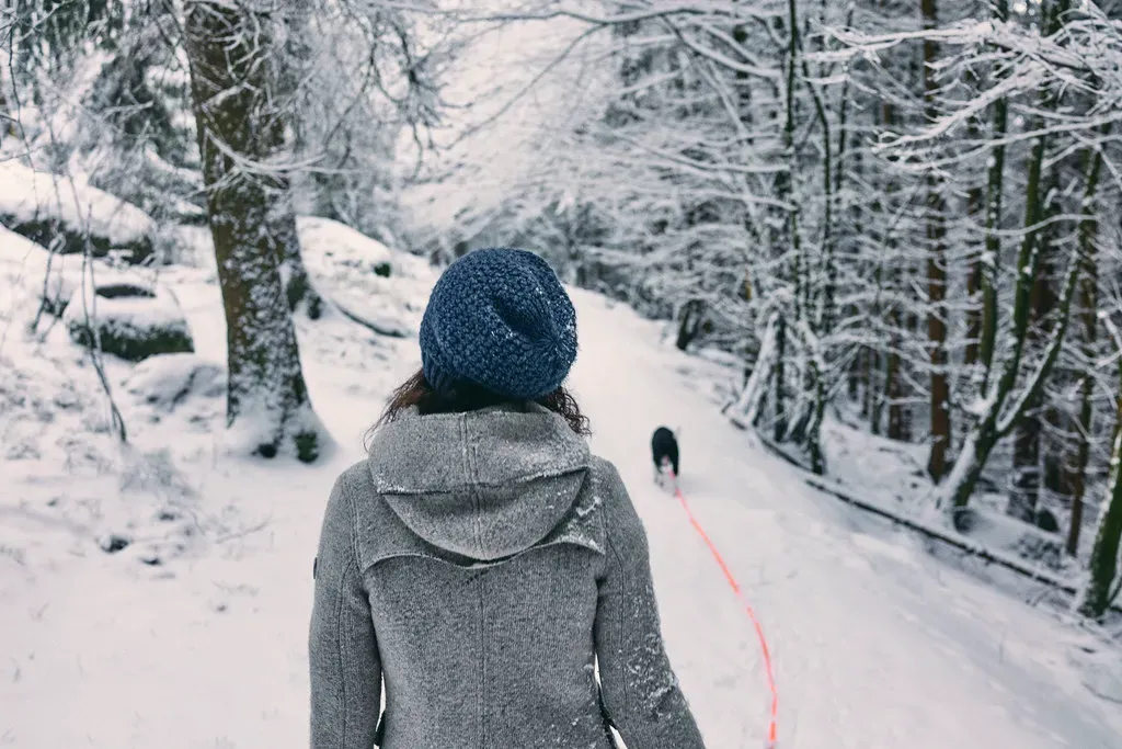 Sagittarius: The Adventurous Partner (matthias.ripp, Flickr, CC BY 2.0)