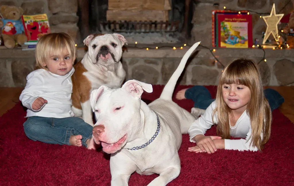 Why They're So Good With Kids - Real Behavior Traits That Matter (pennuja, Flickr, CC BY 2.0)