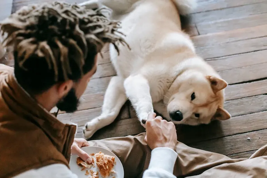 12. They Eat Calmly in Your Presence Without Guarding (Image Credits: Pexels)