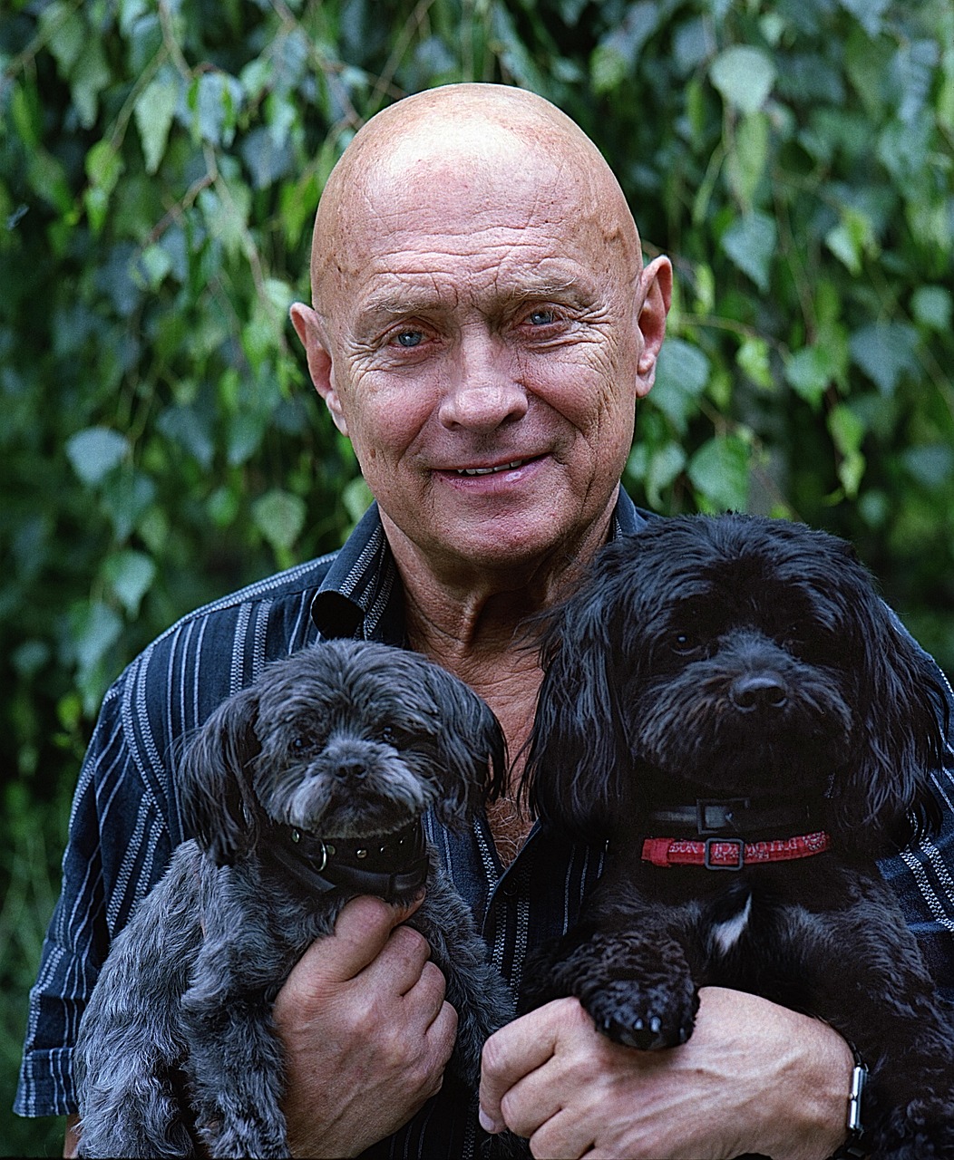 Mental Health Magic: The Mood-Boosting Power of Unconditional Love (Image Credits: Pixabay)