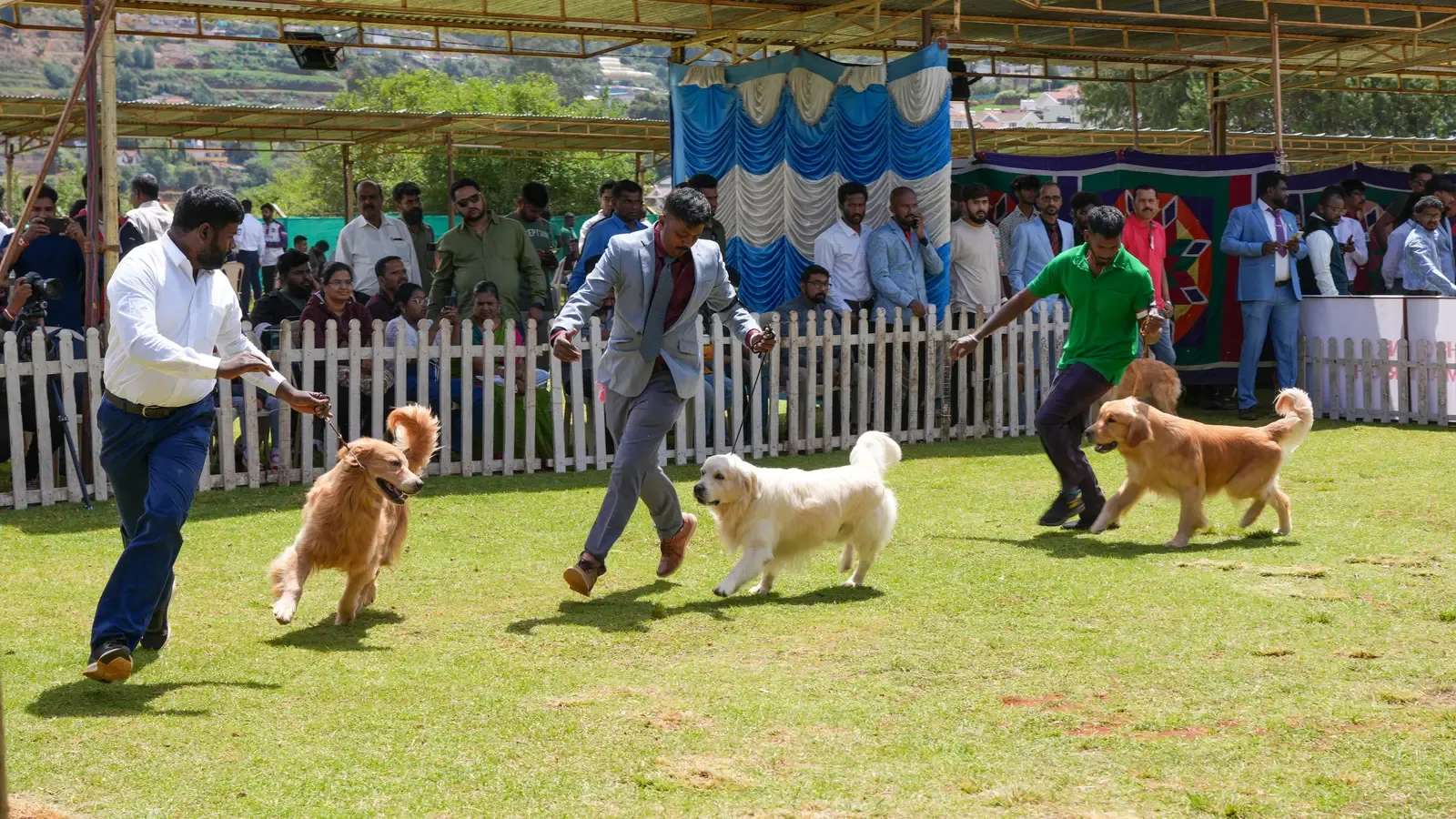 Virgo: The Overthinker Who Processes Out Loud to the Dog (By Timothy A. Gonsalves, CC BY-SA 4.0)