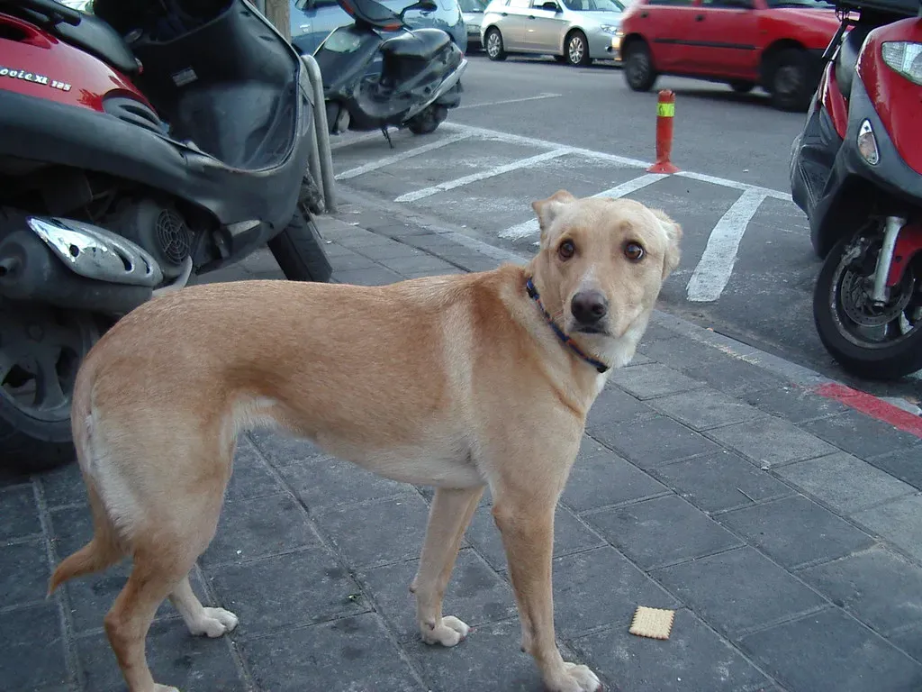 3. Searching Behavior (ella novak, Flickr, CC BY 2.0)