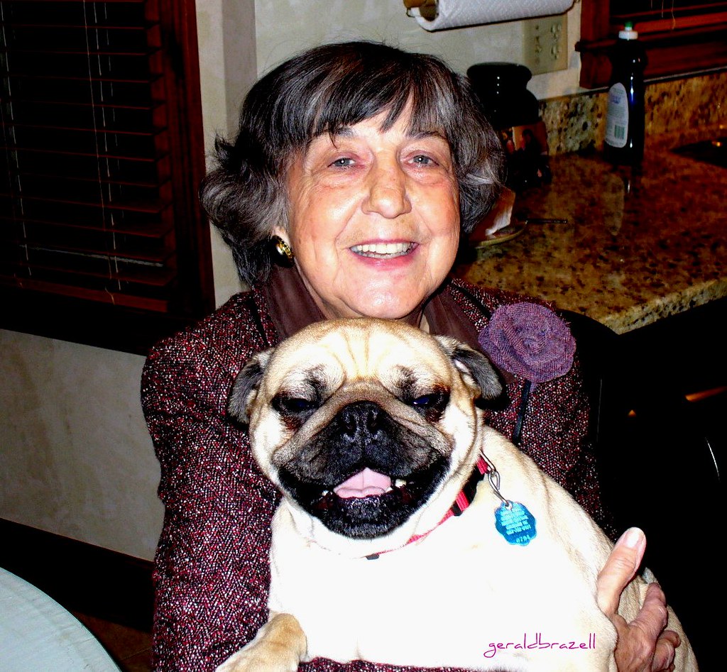 Pug - The Cheerful Lap Dog (Image Credits: Flickr)