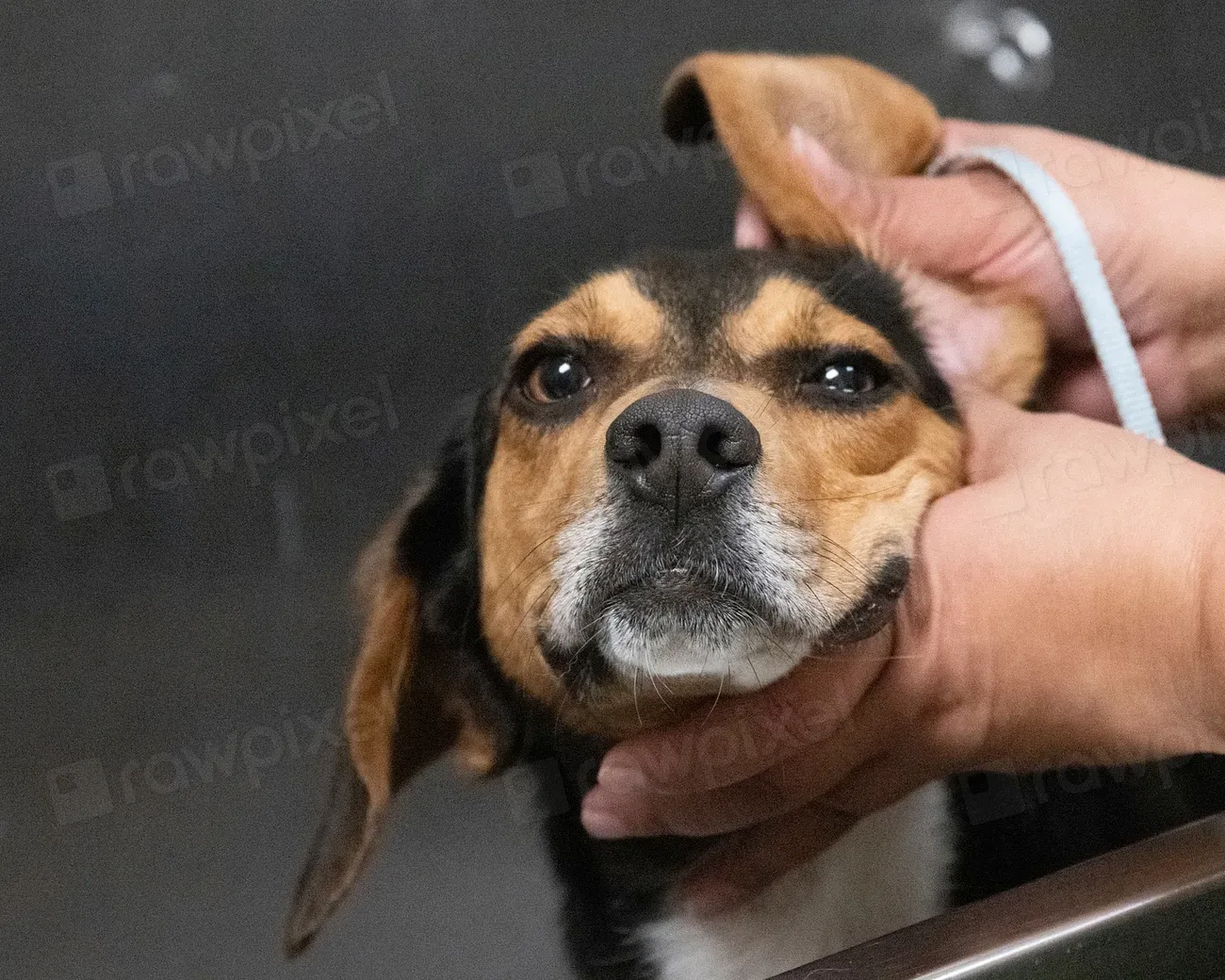 You're Accidentally Creating Negative Associations (Image Credits: Rawpixel)