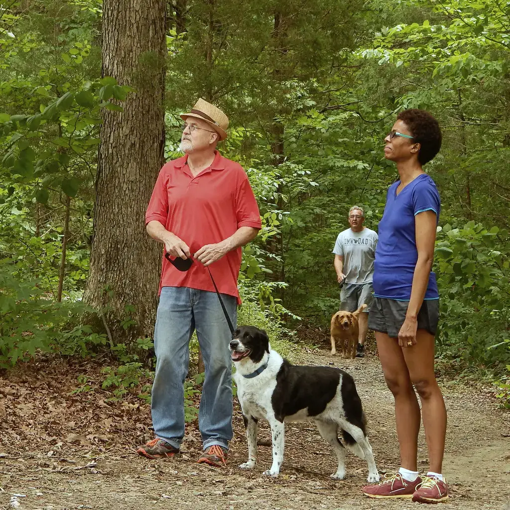 4. Switch Up the Walking Route Regularly (vastateparksstaff, Flickr, CC BY 2.0)