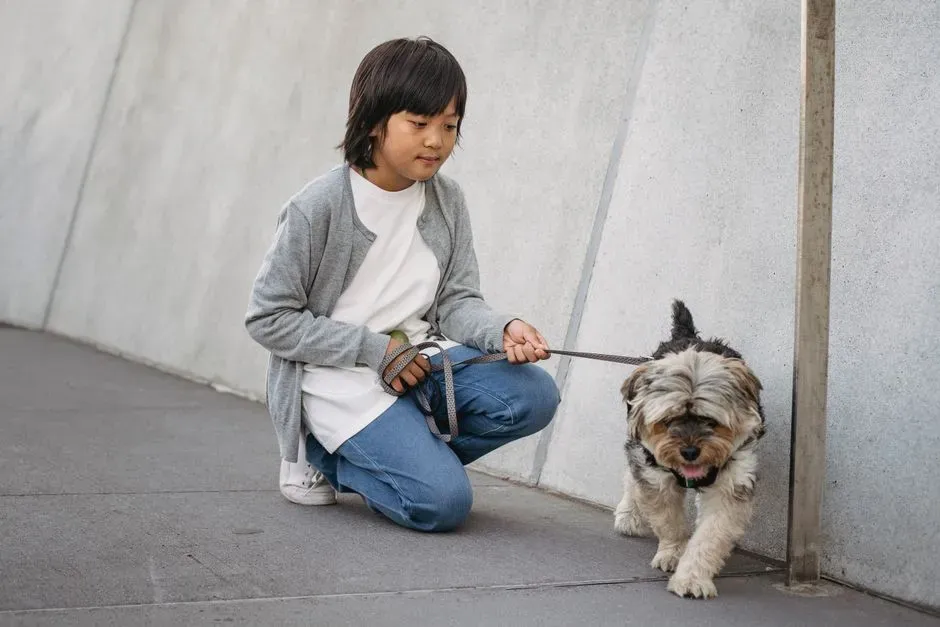 #21 - Letting Kids "Walk the Dog" Completely Alone (Image Credits: Pexels)