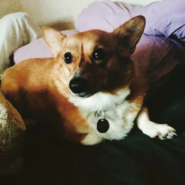 When It Might Signal Something More (Image Credits: Flickr)